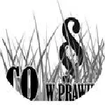 Co w prawie piszczy